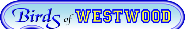 Birds of Westwood Logo